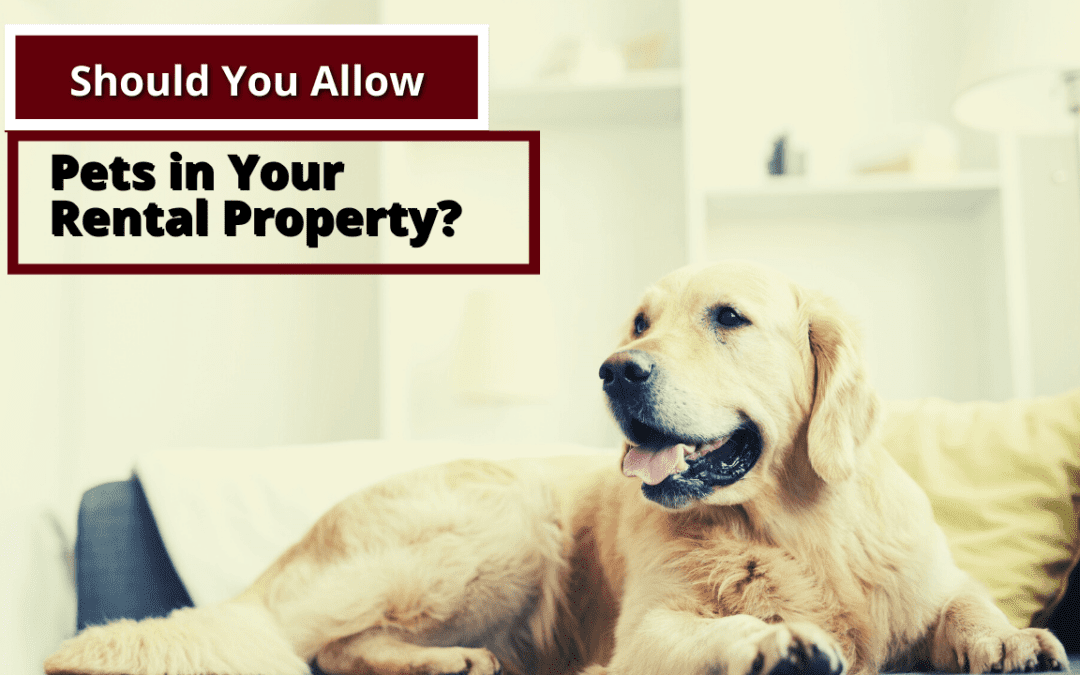 Should You Allow Pets in Your Visalia Rental Property?