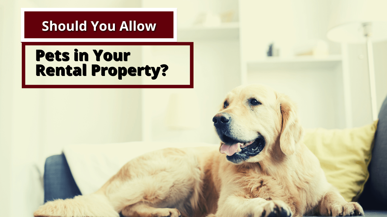 Should You Allow Pets in Your Visalia Rental Property?
