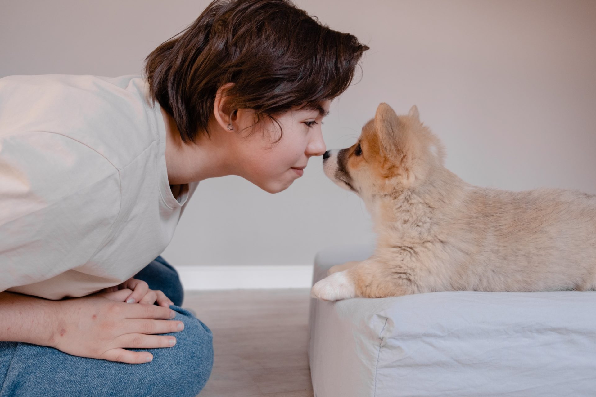 Emotional Support Animal